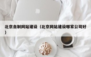 汶上北京自制网站建设（北京网站建设哪家公司好）